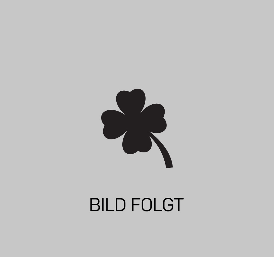 wipptalkamin_bild_folgt